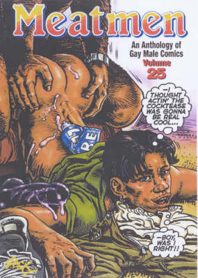 Meatmen: An Anthology of Gay Male Comics: v. 25 image
