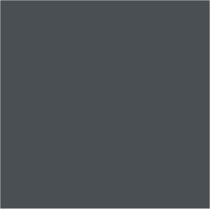 Citadel Layer: Eshin Grey image