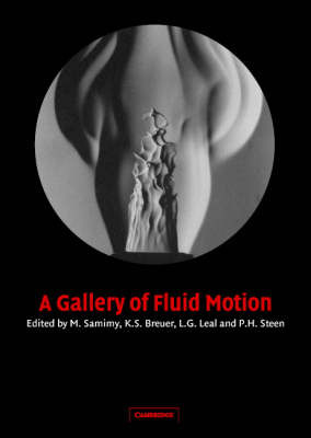 A Gallery of Fluid Motion image