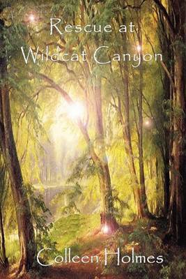 Rescue at Wildcat Canyon on Paperback by Colleen Duncan