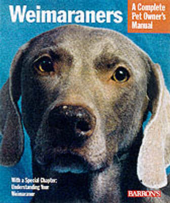 Weimeraners by Sue Fox image