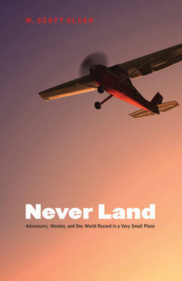 Never Land by W. Scott Olsen image