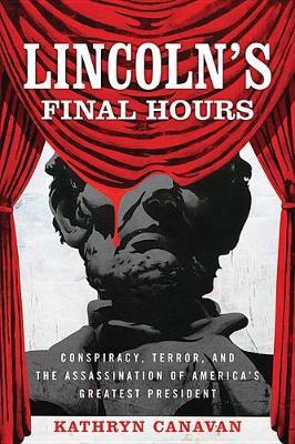 Lincoln's Final Hours by Kathryn Canavan image