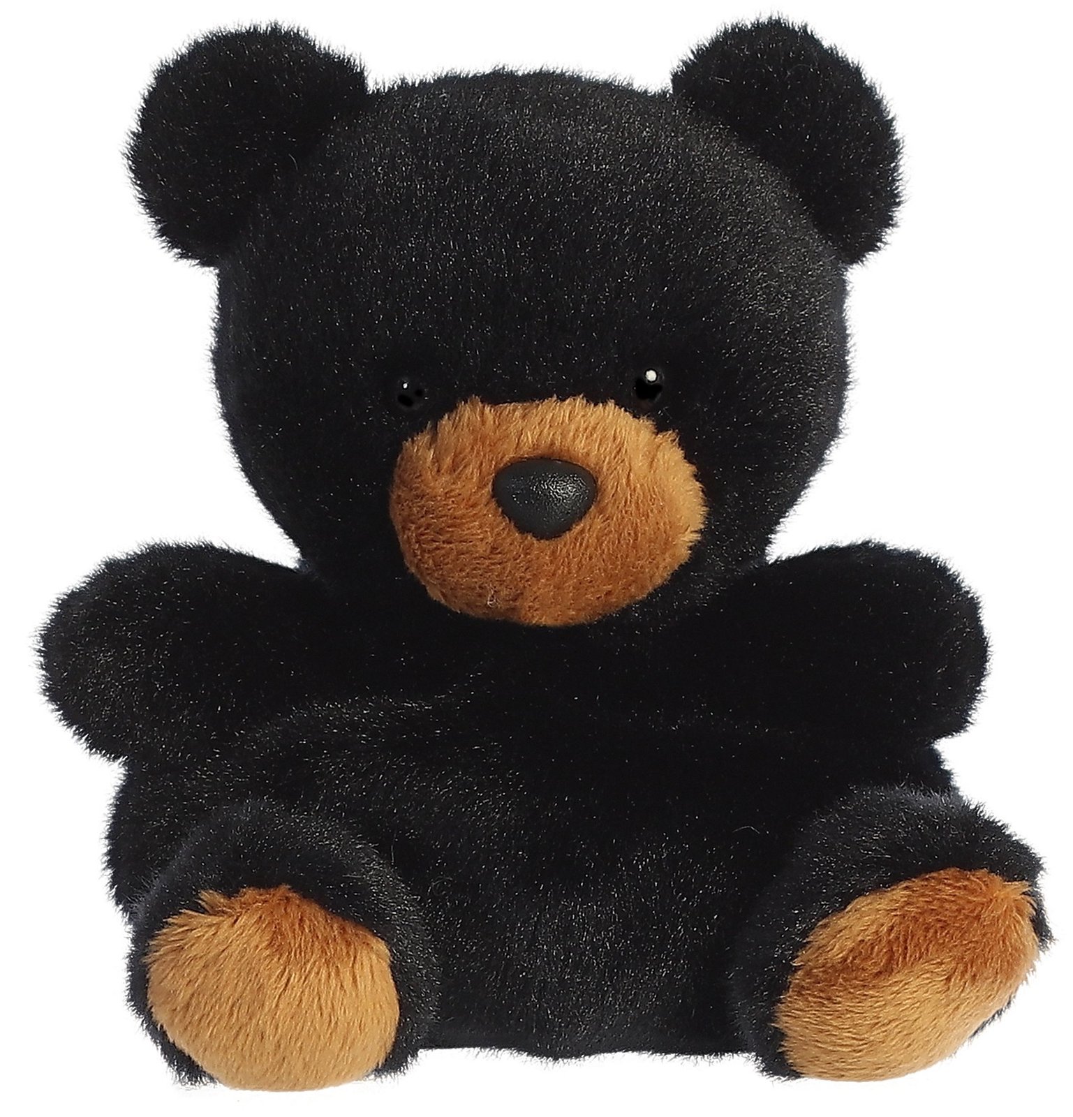 black bear teddy