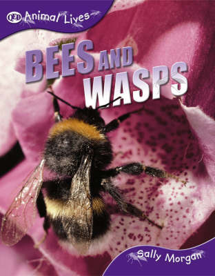 Bees and Wasps image