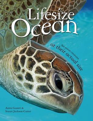 Lifesize: Ocean by Anita Ganeri image