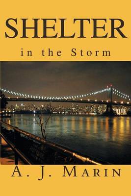 Shelter in the Storm by A. J. Marin image