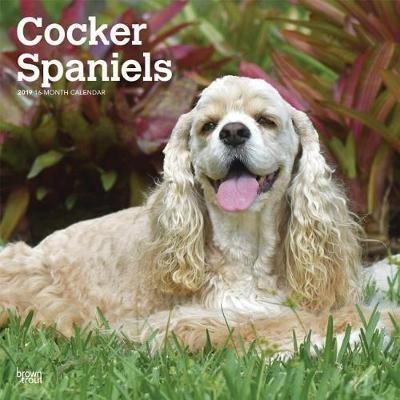 Cocker Spaniels 2019 Square by Inc Browntrout Publishers