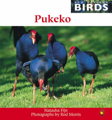 Pukeko (New Zealand Birds Series) by Natasha Fijn image