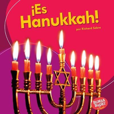 es Hanukkah! (It's Hanukkah!) by Richard Sebra image