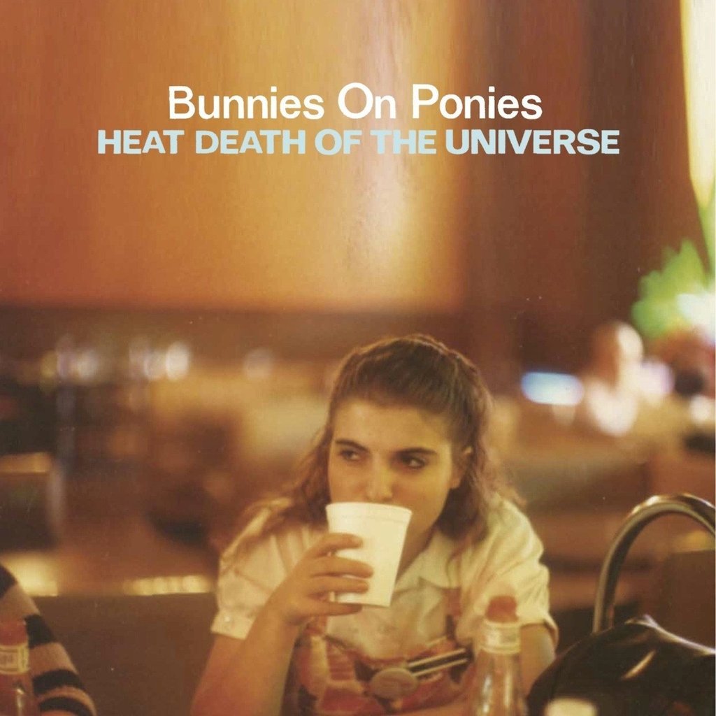 Heat Death of The Universe (LP) by Bunnies On Ponies image