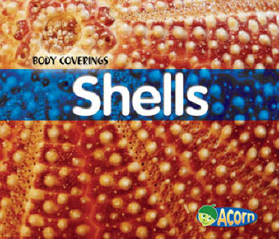 Shells by Cassie Mayer image