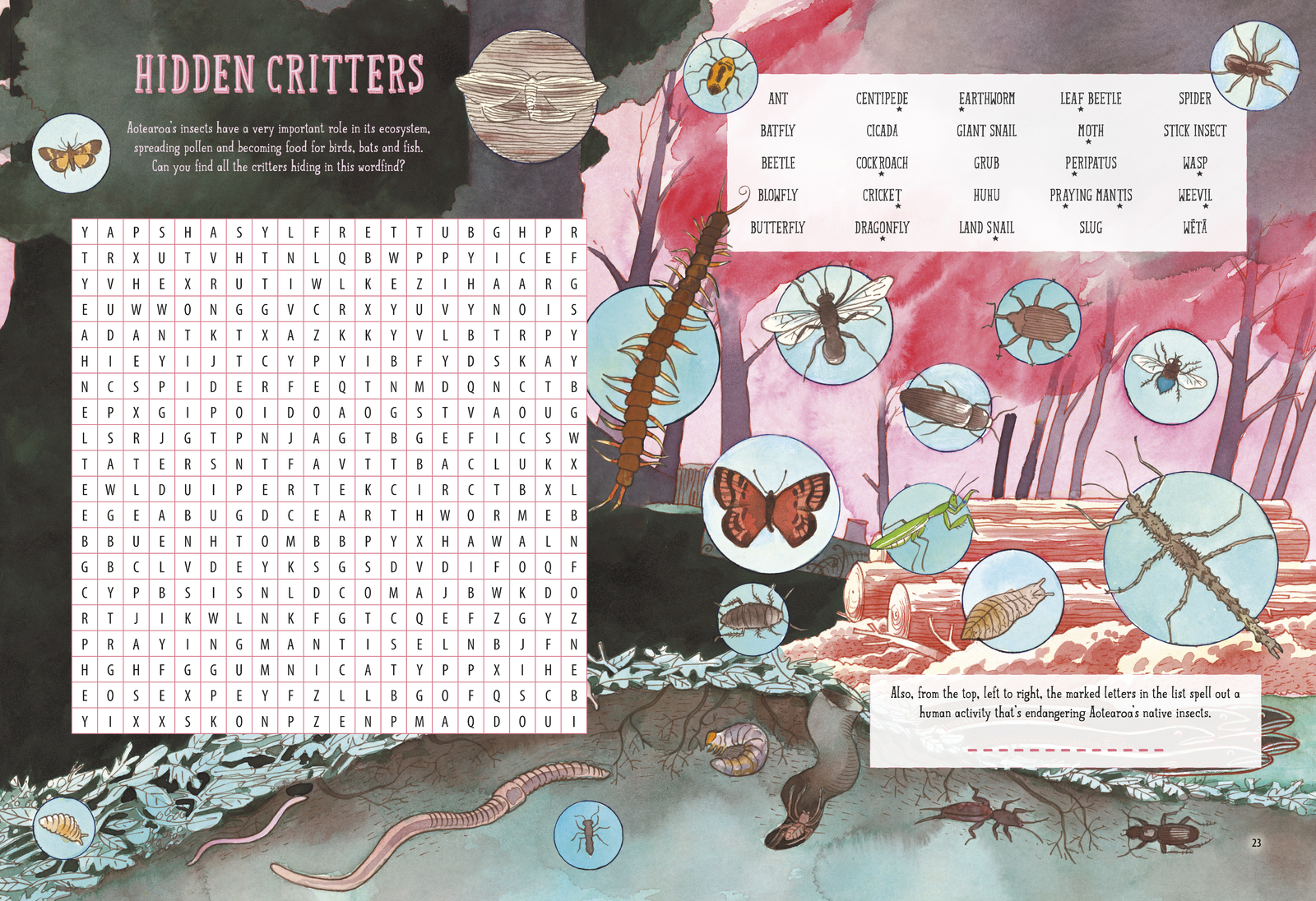 Amazing Aotearoa Activity Book by Gavin Bishop image