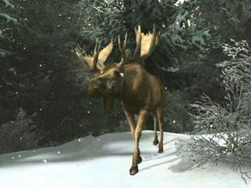 Cabela's Outdoor Adventures for PS2 image