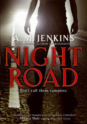 Night Road by A.M. Jenkins image