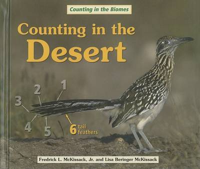 Counting in the Desert image