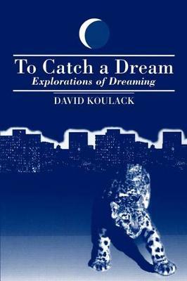 To Catch A Dream by David Koulack image
