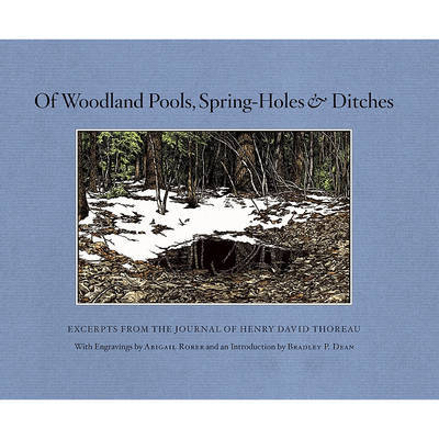 Of Woodland Pools, Spring-Holes and Ditches image