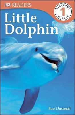 Little Dolphin by Sue Unstead