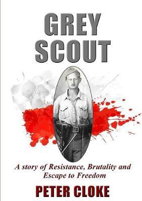 Grey Scout by Peter Cloke image