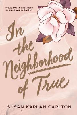 In the Neighborhood of True by Susan K Carlton image