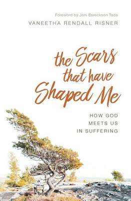 The Scars That Have Shaped Me by Vaneetha Rendall Risner image