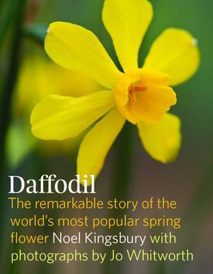 Daffodil the Remarkable Story of the Worlds Most Popular Spring Flower by Noel Kingsbury image