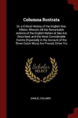 Columna Rostrata by Samuel Colliber image