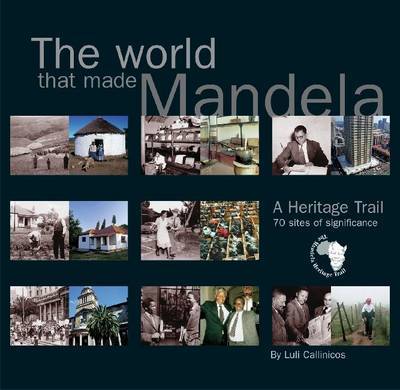 The world that made Mandela by Luli Callinicos image