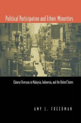 Political Participation and Ethnic Minorities by Amy L Freedman image