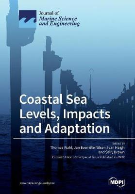 Coastal Sea Levels, Impacts and Adaptation image