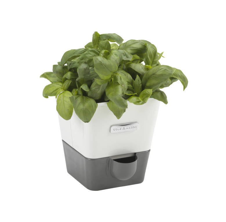 Cole & Mason: Self Watering Herb Keeper - Single