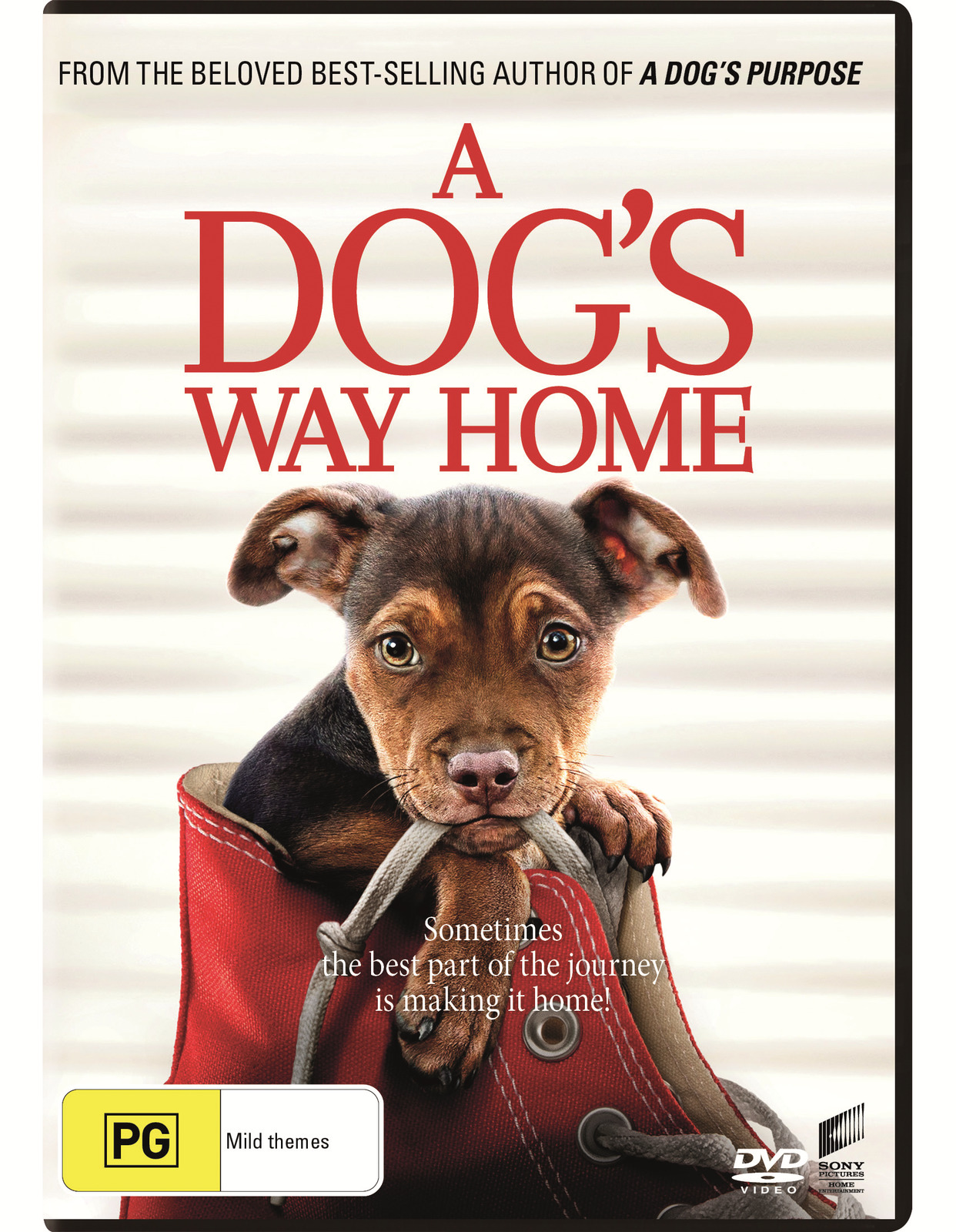 A Dog's Way Home on DVD image