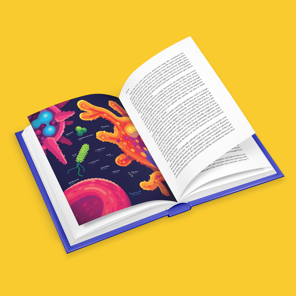 Immune A Journey Into The Mysterious System That Keeps You Alive