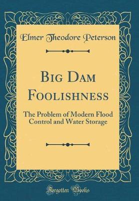 Big Dam Foolishness by Elmer Theodore Peterson image