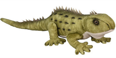 Tuatara (With Sound) image