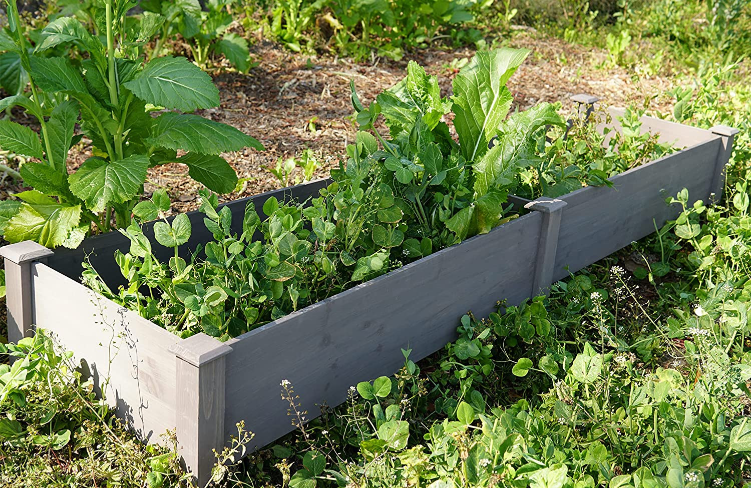 Wooden Raised Garden Bed Planter for Vegetables & Herbs at Mighty Ape NZ