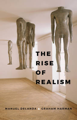 The Rise of Realism by Manuel DeLanda image