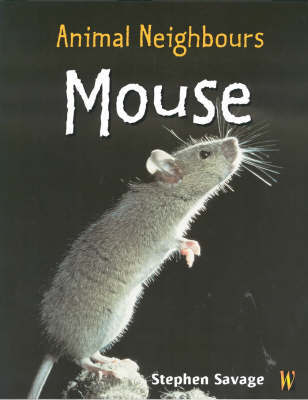 British Animals: Mouse by Stephen Savage image