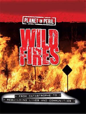 Planet in Peril: Wild Fires by Cath Senker image