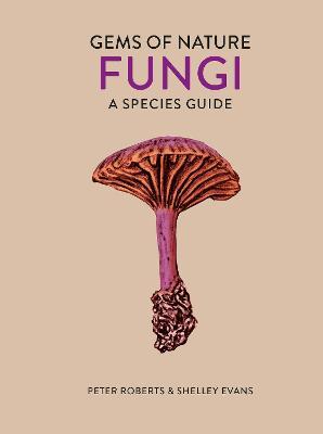 Fungi by Peter Roberts image