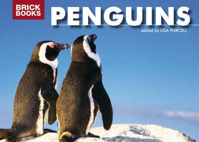 Penguins on Hardback by Lisa Purcell