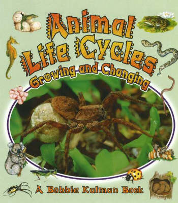 Animal Life Cycles by Bobbie Kalman