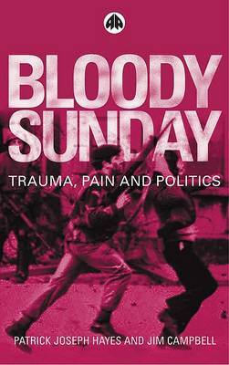 Bloody Sunday image