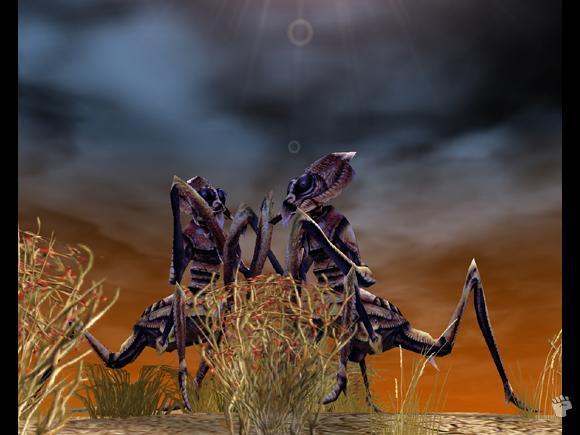 Spellforce Universe (all 5 games!) for PC Games image