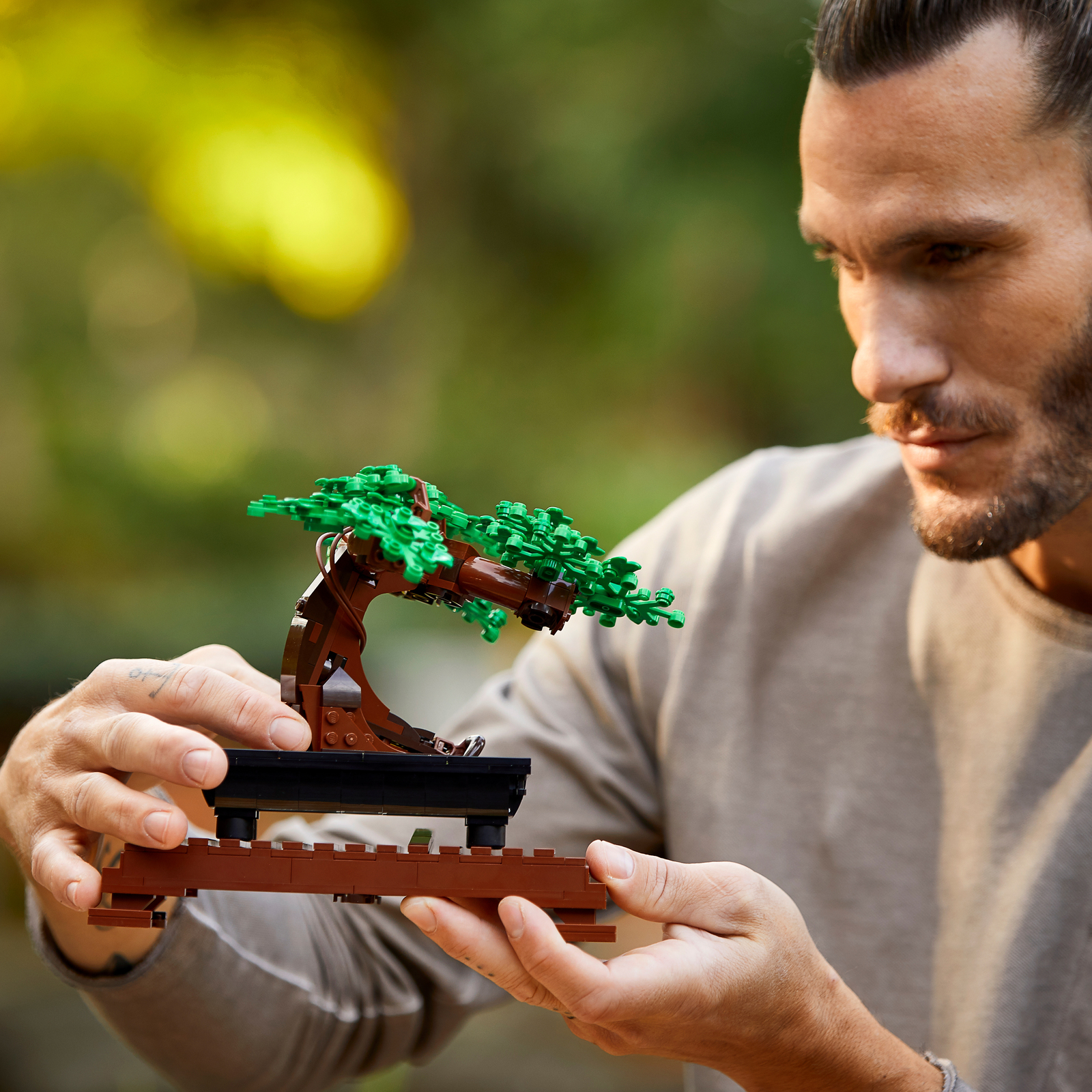 LEGO Creator: Botanical Series - Bonsai Tree (10281) image