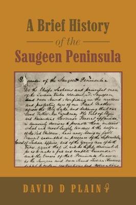 A Brief History of the Saugeen Peninsula by David D. Plain image