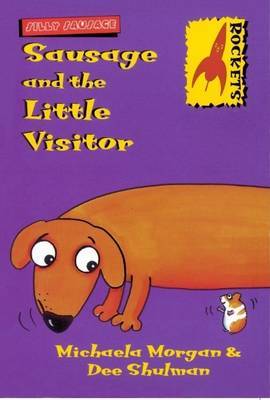 Sausage and the Little Visitor by Michaela Morgan image