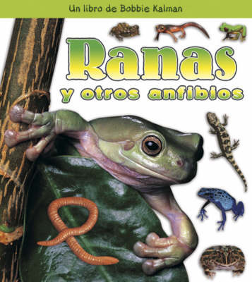 Ranas y Otros Anfibios by Bobbie Kalman image