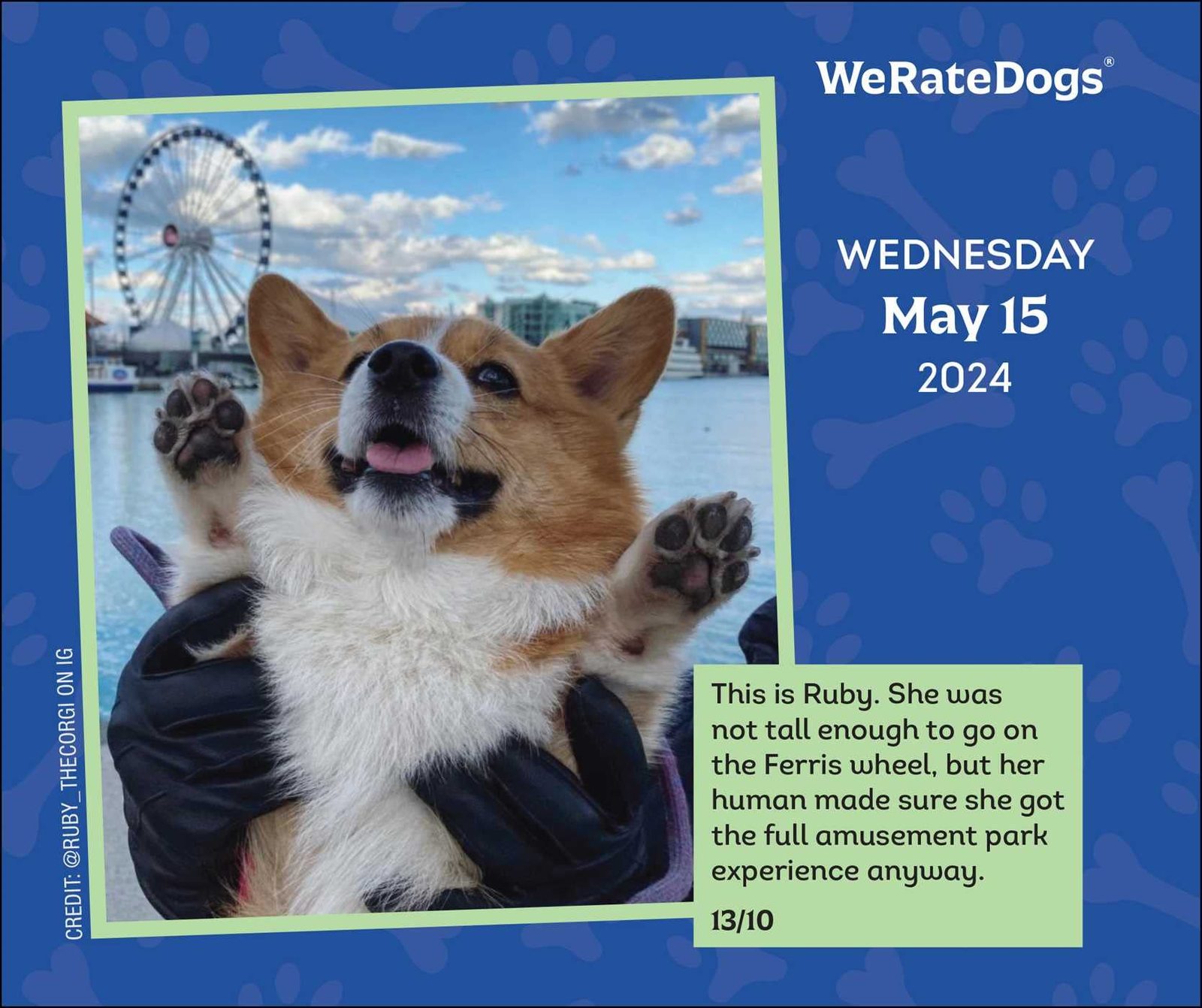 Buy WeRateDogs 2024 DaytoDay Calendar at Mighty Ape NZ